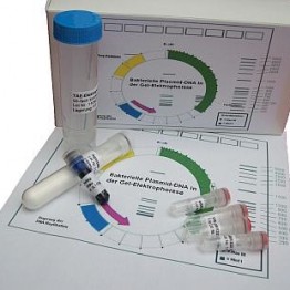 Zestaw eksp.TESS Biol.molekularna Plazmid bakteryjny DNA w elektroforezie żelowej