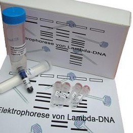 Zestaw eksp.TESS Biol. molekularna Elektroforeza DNA-Lambda